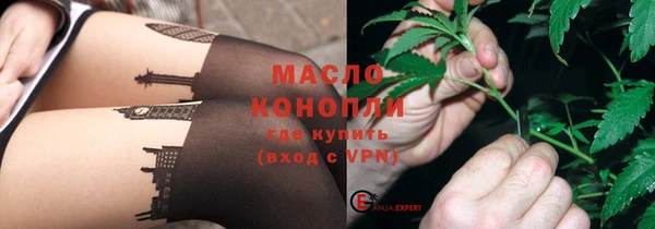 молекула духа Арсеньев