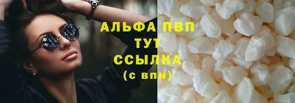 стафф Нестеровская