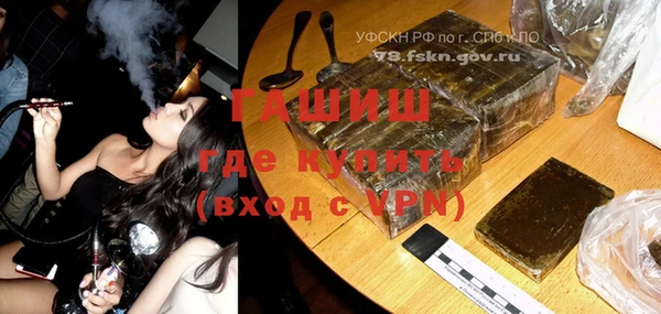 молекула духа Арсеньев