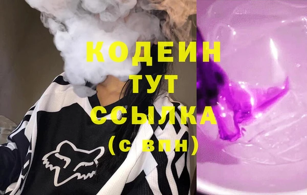 молекула духа Арсеньев