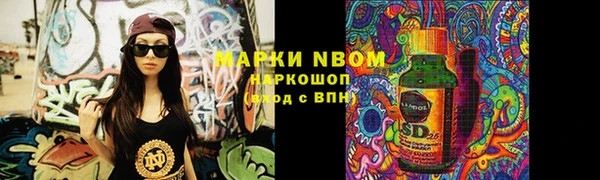 молекула духа Арсеньев
